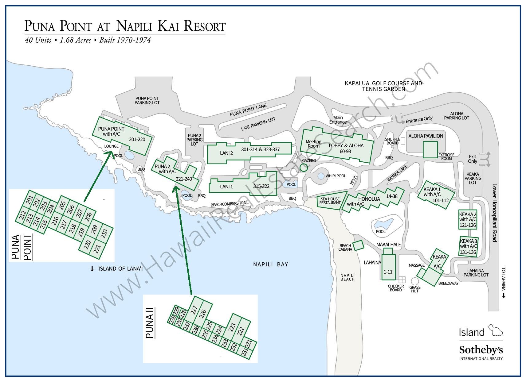 Puna Point Property Map Updated